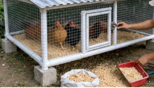 cara membuat kandang ayam dari pipa PVC bekas (AI)