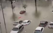 NASA Rilis FOTO Satelit Dubai dan Abu Dhabi Sebelum dan Sesudah Banjir Besar