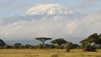 Helikopter Jatuh di Gunung Kilimanjaro, 5 Orang Tewas