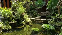 Biaya Bikin Kolam Ikan di Rumah, Rincian Lengkap dari Minimalis Hingga Koi Mewah