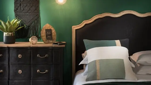 Cat Tembok Hijau Cocok dengan Warna Apa? Berikut 9 Rekomendasi Perpaduannya