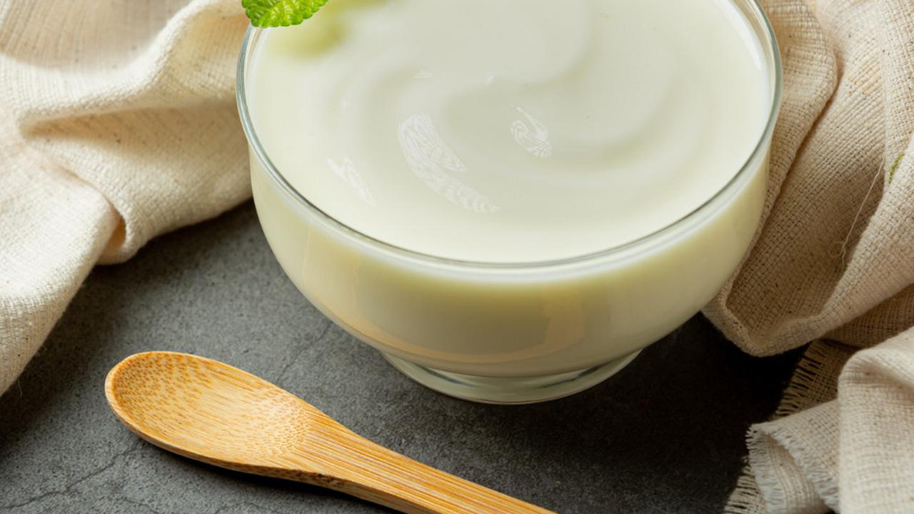 Ilustrasi Greek Yogurt