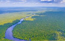 Fenomena Aneh, Mahasiswa Temukan Sungai Amazon Mengalir Mundur Saat Teliti Sedimen Sungai