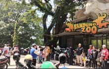 Bandung Zoo Dibuka Terbatas Saat Libur Nataru, Tiket Gratis Diganti Donasi Seikhlasnya