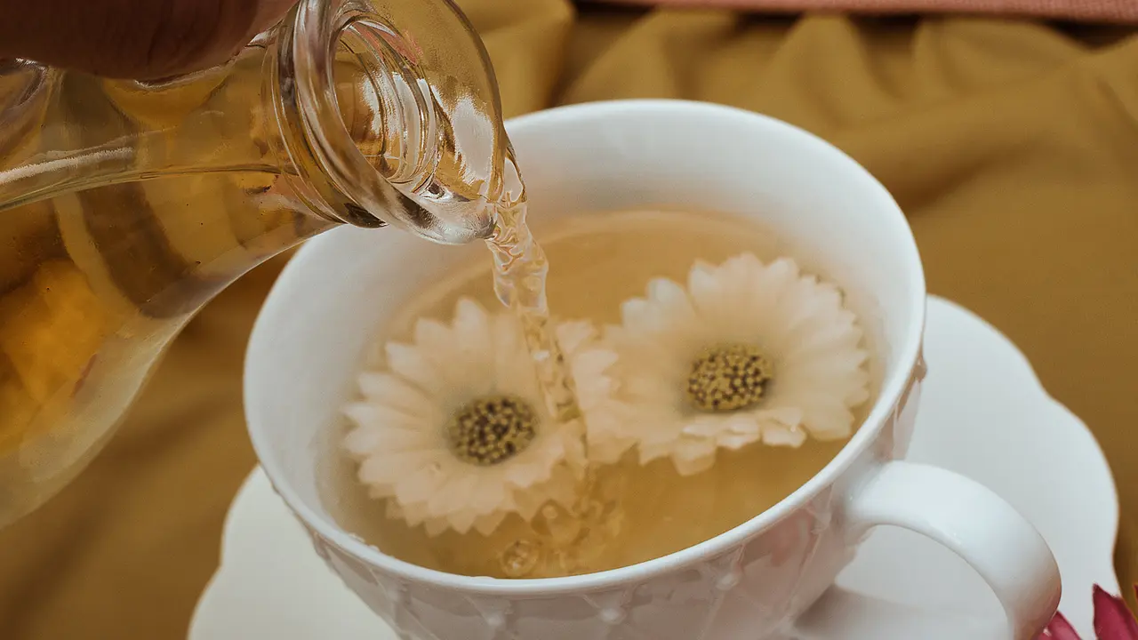 Mengenal White Tea, yang telah Ada sejak Dinasti Song dan Manfaatnya