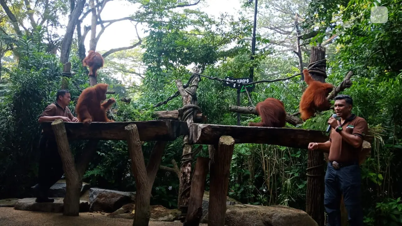 Singapore Zoo