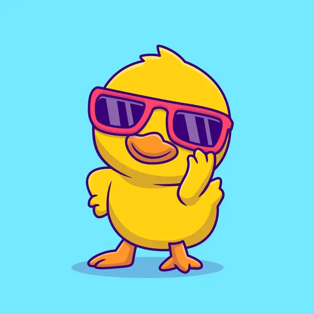 Duck