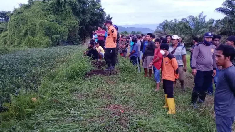 Buaya terkam warga