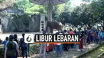 thumbnail ragunan
