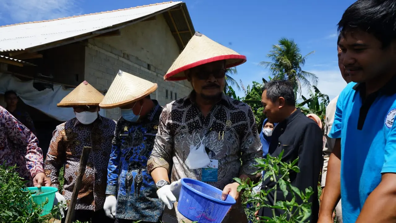 Mentan SYL Panen Perdana Cabai Hasil Integrated Farming Petani Milenial Lampung