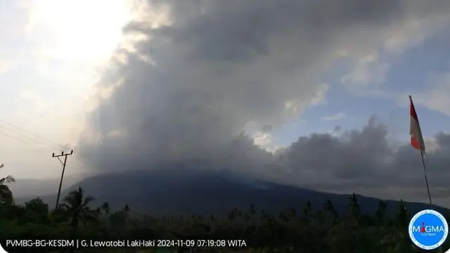 gunung lewotobi Laki laki