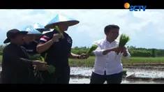 Kedatangan Emil bersama dengan AHY disambut antusias para petani. Emil dan AHY ikut menanam cabai dan padi bersama petani.