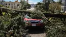 Pohon tumbang menimpa sebuah mobil setelah hujan badai lebat di Parker Avenue, San Francisco, California, Amerika Serikat, Rabu (22/3/2023). (Gabrielle Lurie/San Francisco Chronicle via AP)
