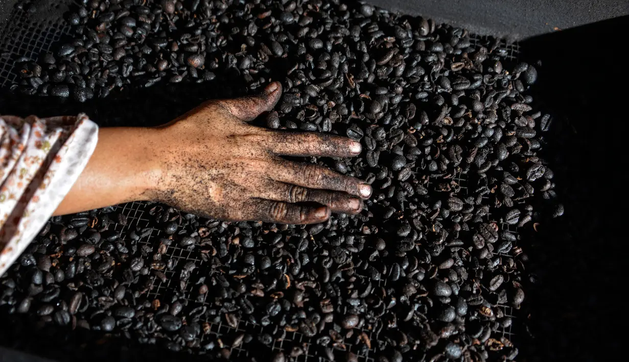 Pekerja mengecek biji kopi usai dipanggang melalui metode tradisional di sebuah pabrik di Banda Aceh, Aceh, Rabu (3/3). (CHAIDEER MAHYUDDIN/AFP)