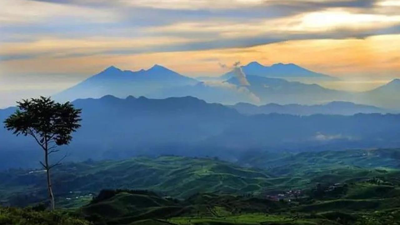 <b>Taman Nasional Gunung Halimun Salak</b><br>