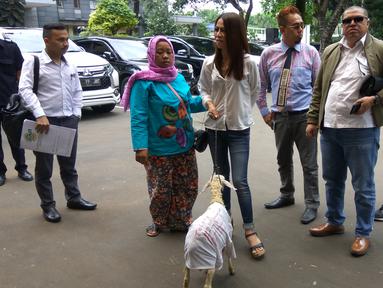 Berita Razman Nasution Hari Ini Kabar Terbaru Terkini Liputan6 Com