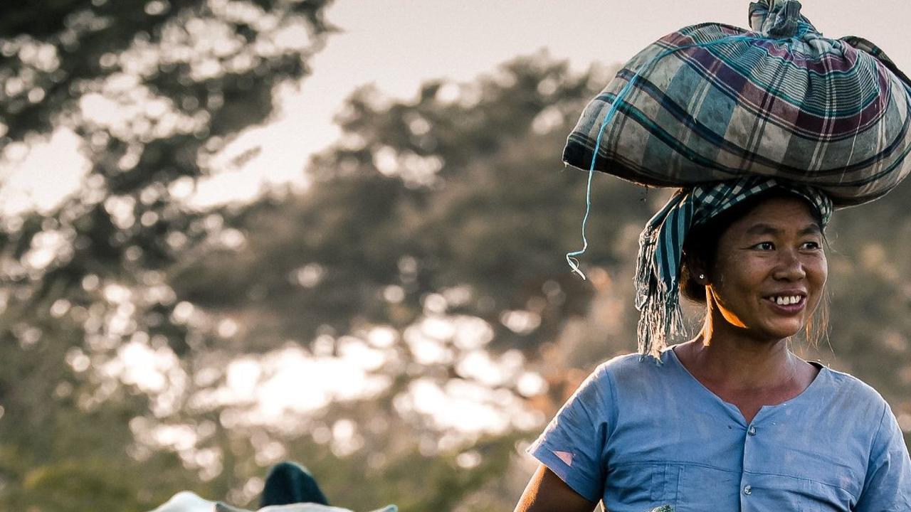 Ciri-ciri Hewan Terinfeksi Antraks, Perlu Diwaspadai