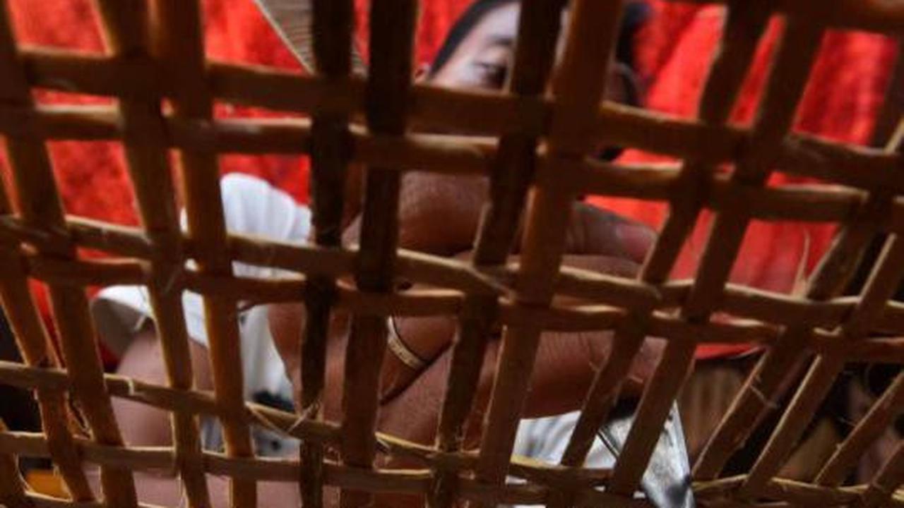 Mengais rejeki dari rotan