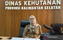 Dishut Kalsel: Pendanaan Internasional Percepat Pemulihan Lahan Kritis dan Tutupan Hutan