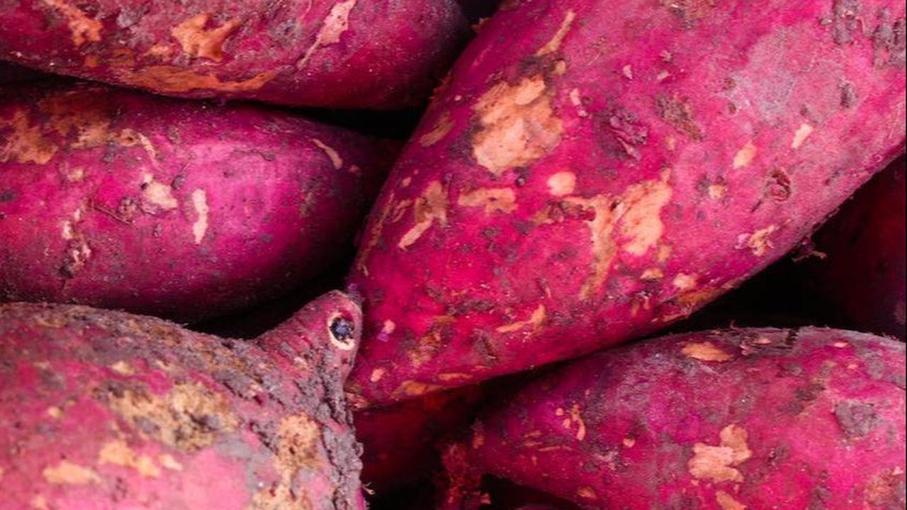 Manfaat Ubi untuk Asam Lambung