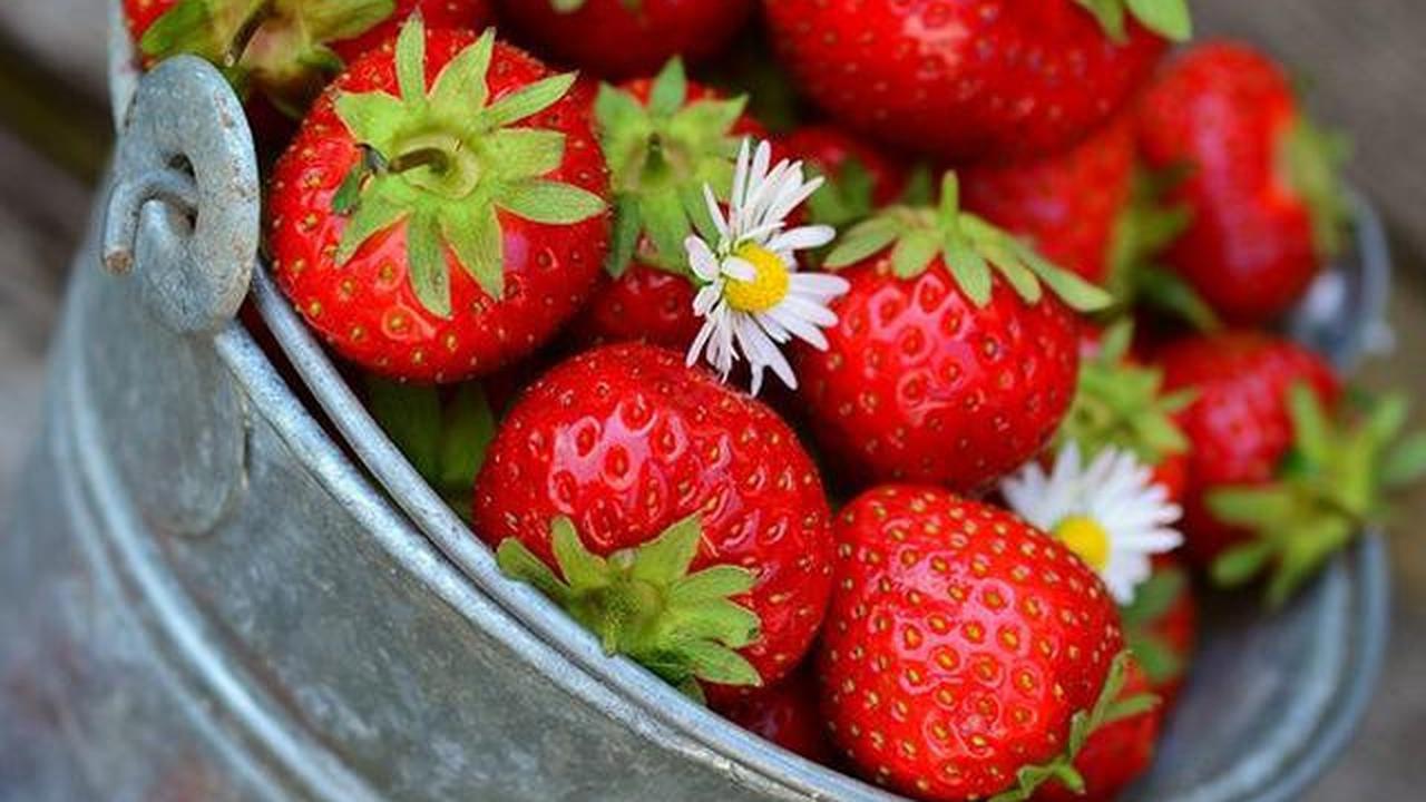 7 Cara Memutihkan Gigi Kuning Membandel dengan Bahan Dapur agar Tampak Bersih dan Cerah