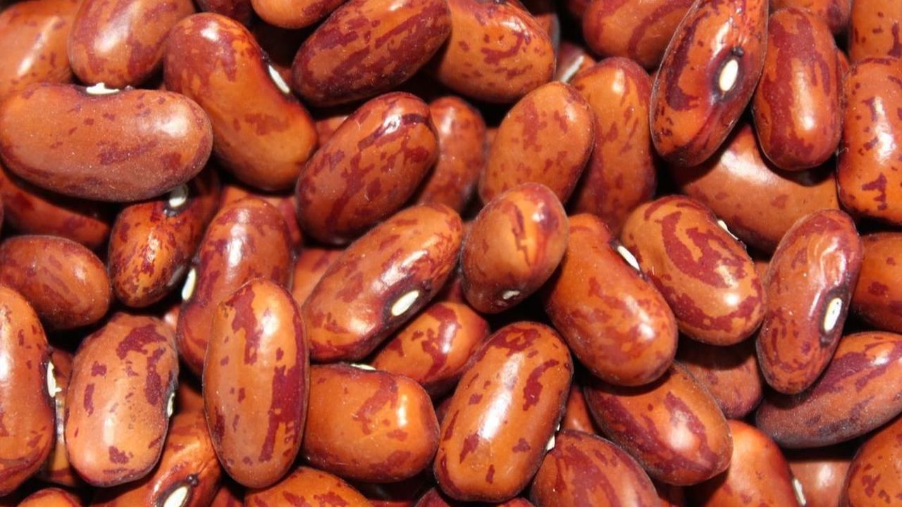 Sumber Vitamin B Kompleks