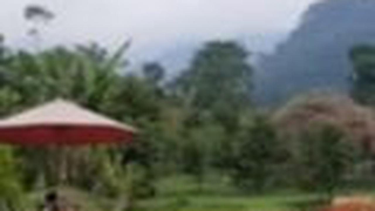 "Yang bikin menarik adalah air kolam renangnya ini berasal dari sumber mata air. Jadi lebih dingin dan segar," ujar Alman.