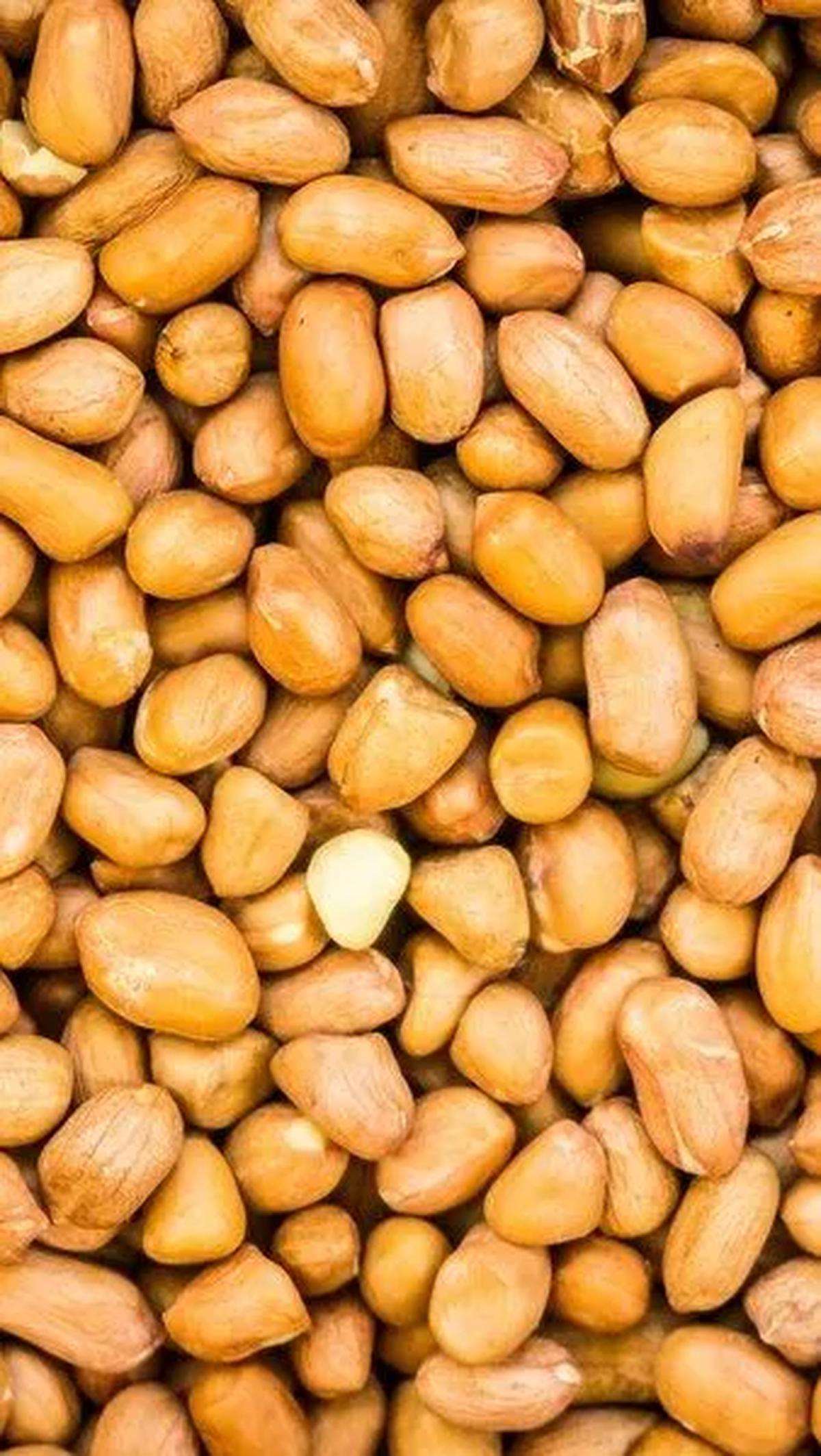 Biji-bijian