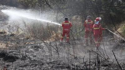 Usai Api Padam di Bromo, Kemenhut Soroti Ancaman Lanjutan