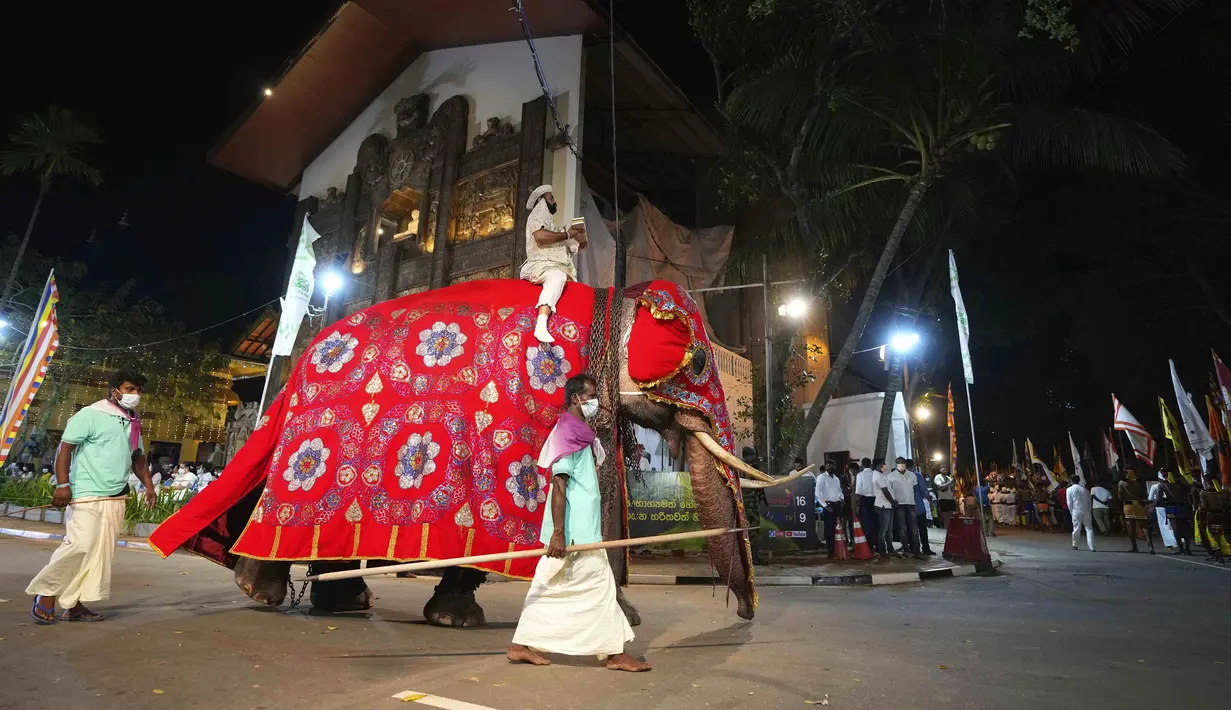 Seorang pria mengenakan pakaian tradisional saat mengendarai gajah yang dihias pada Festival Navam Perahera di Kolombo, Sri Lanka, 15 Februari 2022. Biksu, penari, pemusik, dan lainnya berpartisipasi dalam perayaan di Kuil Gangaramaya yang terkenal. (AP Photo/Eranga Jayawardena)