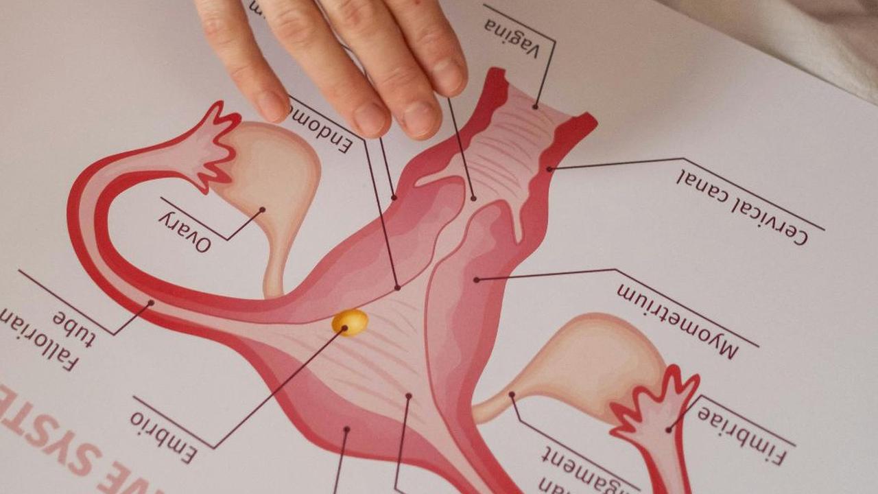 Misteri Seberapa Dalam Organ Kewanitaan dan Bisakah Menyebabkan Kejantanan Terasa 'Mentok'?