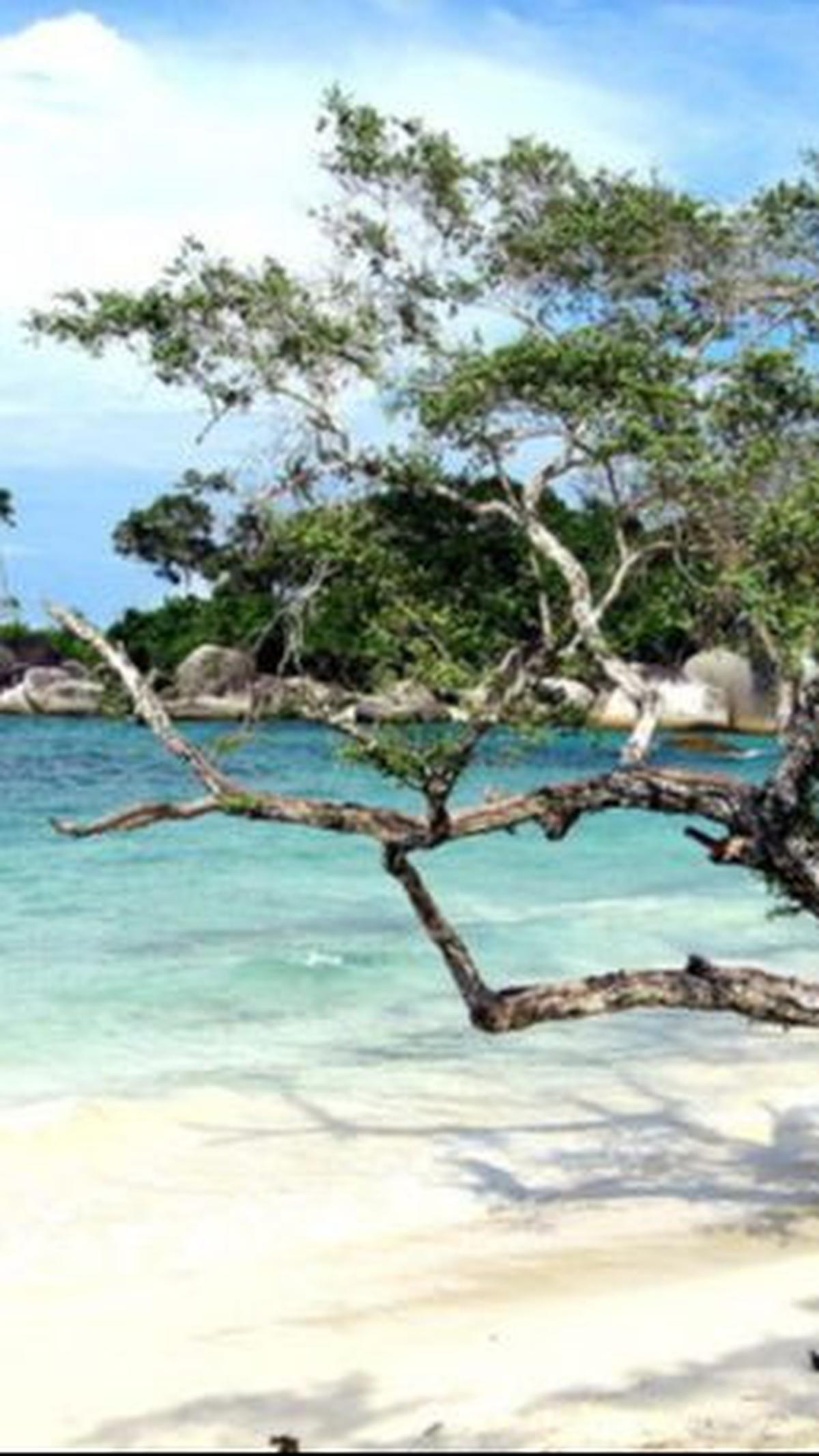 Terkenal dengan julukannya sebagai Kota Santri, wisata Jombang tidak hanya menyuguhkan wisata rohani namun juga menyimpan banyak destinasi wisata alam, kuliner, religi dan sejarah yang mengagumkan dan layak untuk dikunjungi.
