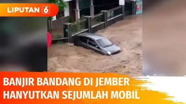 Warga di Jember panik, banjir bandang yang melanda menghanyutkan barang berharga mereka. Seperti dalam video amatir dari warga ini yang memperlihatkan sejumlah mobil hanyut terseret derasnya arus hingga menabrak pohon. Sepasang suami istri dinyatakan...