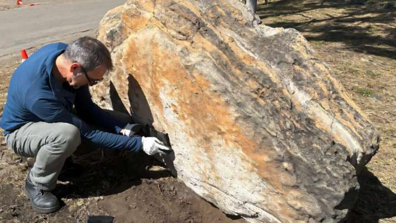 Bertahun-tahun Tak Disadari, Ada Jejak Kaki Dinosaurus di Sekolah Terpencil Ini
