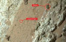 Batu Misterius Ditemukan di Mars, Berisi Petunjuk Tanda-tanda Kehidupan Purba