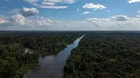 Rekaman drone menangkap suku langka di hutan Amazon, yang hidupnya masih terisolasi. (Foto: Mauro Pimentel / AFP)