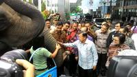 Wapres Jusuf Kalla disambut gajah (Liputan6.com/ Ahmad Romadoni)