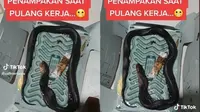 Niat Mau Tangkap Kecoa dengan Lem Tikus, Malah Ular Kobra yang Tertangkap (Sumber: TikTok/@callmeriaaja)