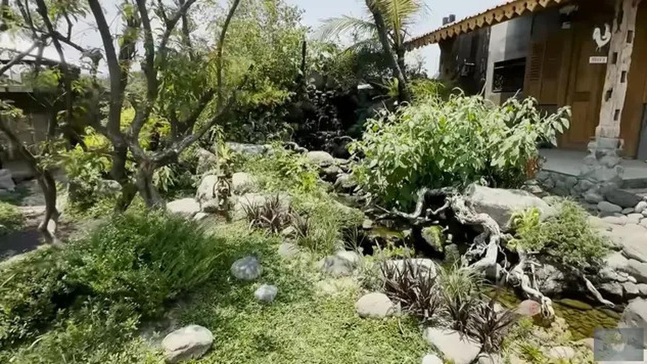 Model Kolam di Taman Rumah Soimah yang Luas Banget, Asri dengan Detail Artistik