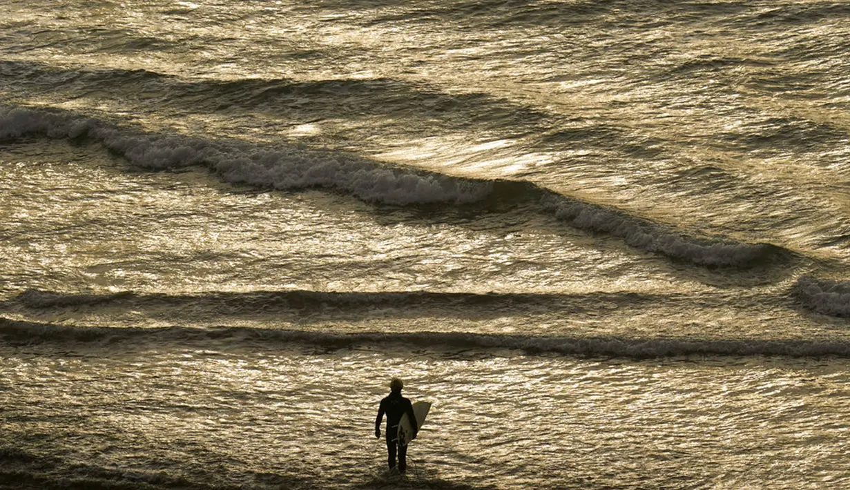 Seorang peselancar berjalan ke laut di Blacks Beach, San Diego, California, Amerika Serikat, 12 Januari 2022. Peselancar di seluruh California Selatan berbondong-bondong ke daerah pantai saat gelombang ombak besar memasuki wilayah tersebut. (AP Photo/Gregory Bull)