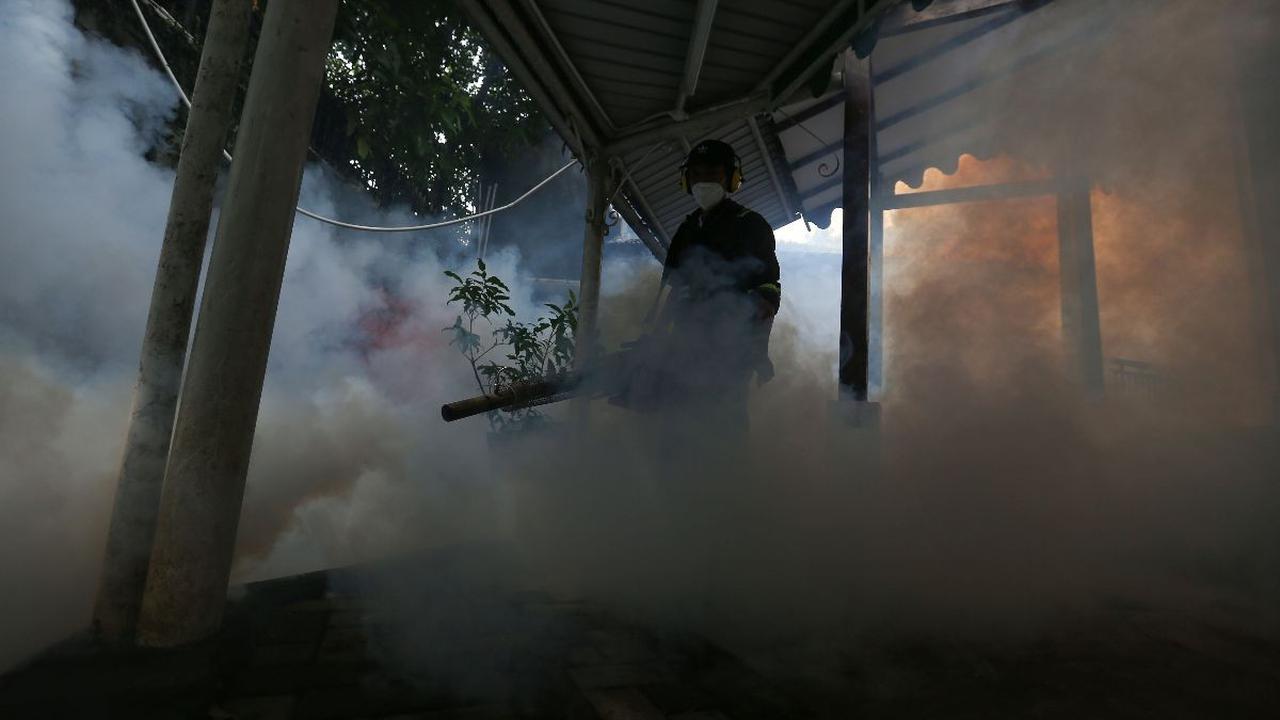 Manajemen RSUD dr. Abdoer Rahem Kabupaten Situbondo, Jawa Timur mencatat selama sepekan pada periode 1-7 Mei 2024 terdapat sembilan pasien demam berdarah dengue atau DBD yang menjalani rawat inap.<br>