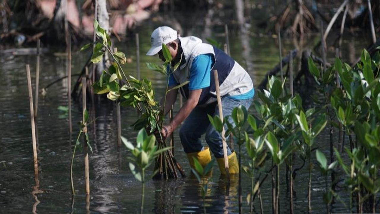 Saatnya Indonesia Serius Menerapkan ESG di Semua Sektor