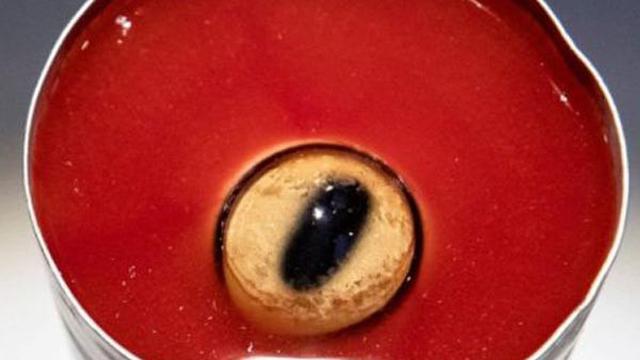 Museum Ini Abadikan Santapan Ekstrim, Berani Coba?