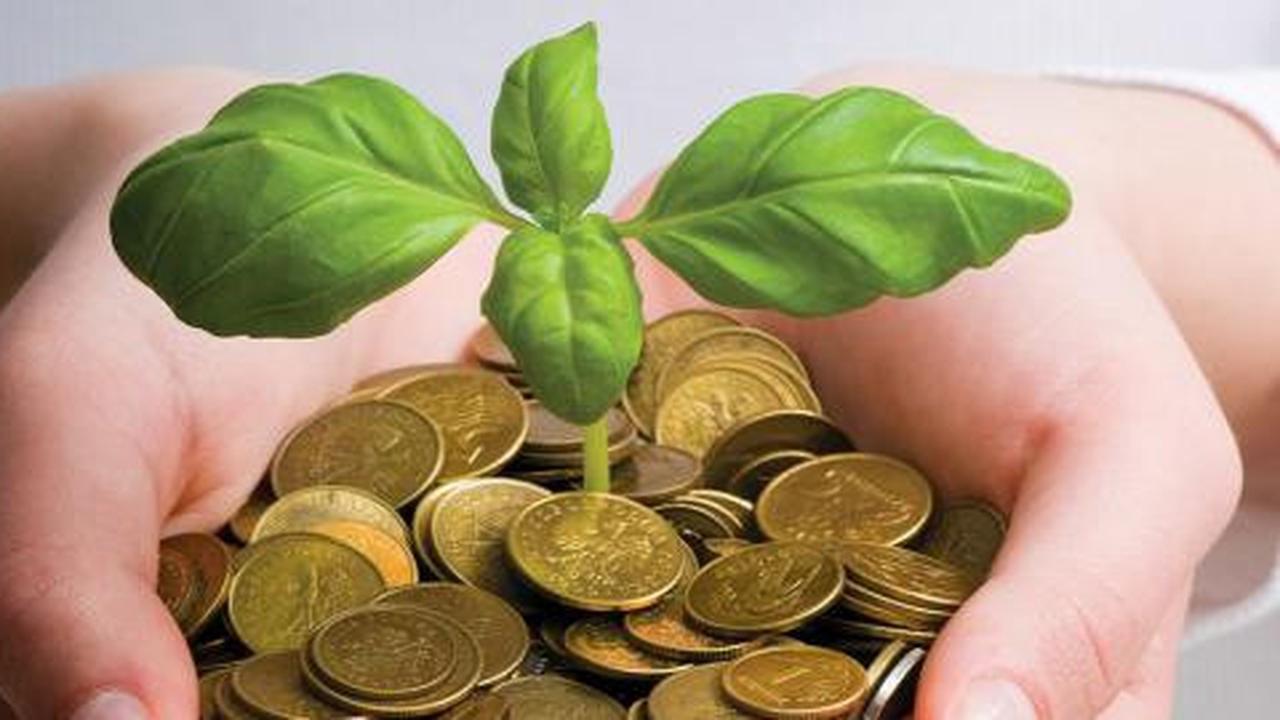 Riwayat hitam bisnis investasi bodong