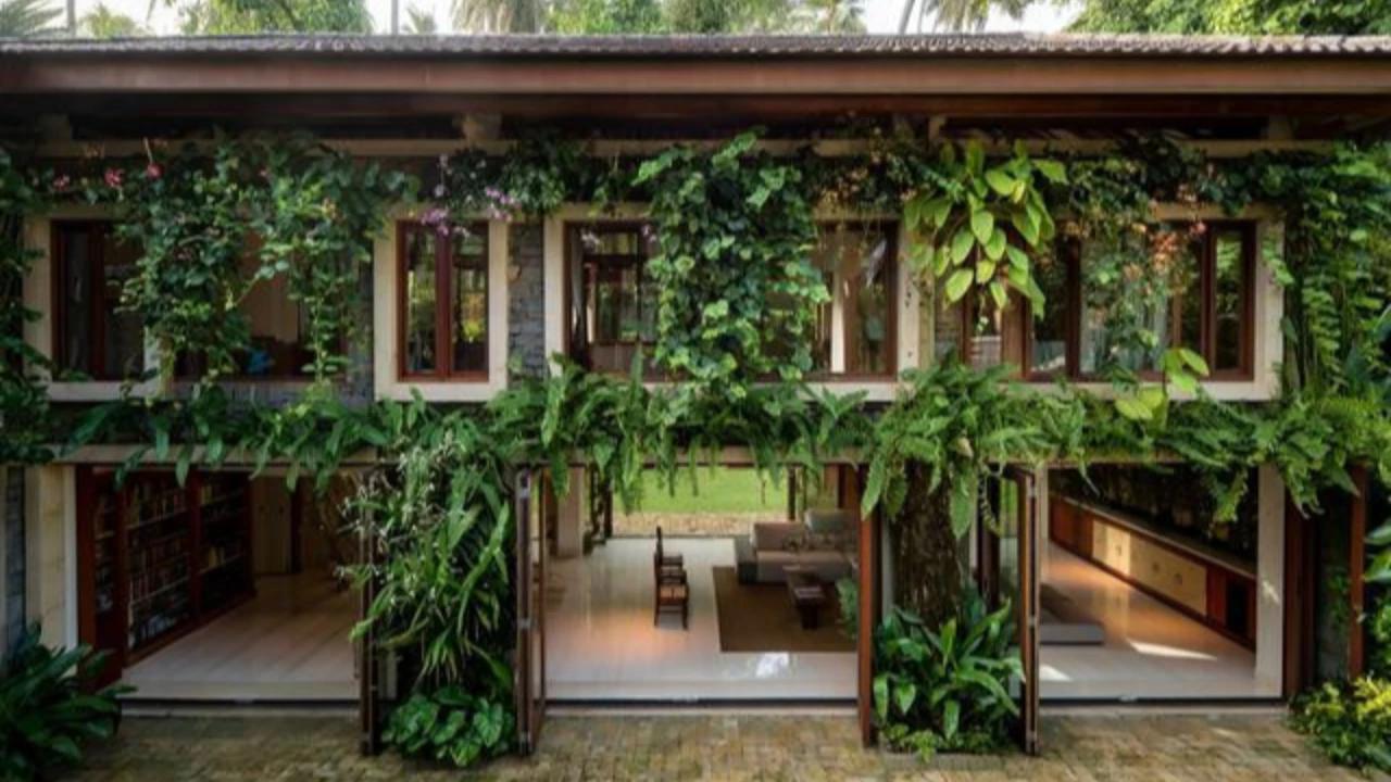 Bikin Suasana Sejuk, 10 Desain Depan Rumah Minimalis dengan Tanaman Merambat