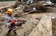 FOTO: Pencarian Korban Banjir Bandang Sumatera Terus Diperluas di Tengah Lonjakan Jumlah Korban