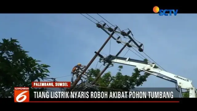 Tiang Listrik di Palembang nyaris roboh dan patah lantaran tertimpa pohon tumbang.