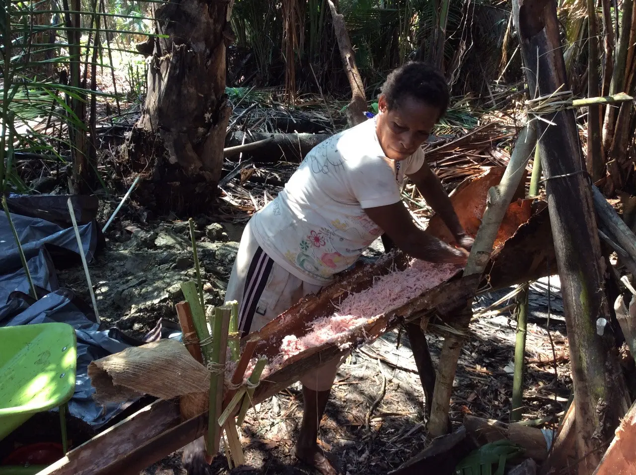 Bukan hanya kaum pria yang mencari nafkah, kaum perempuan juga berjibaku mengolah apapun dari pohon kehidupan, termasuk ulat. (foto : Liputan6.com / khatarina janur)
