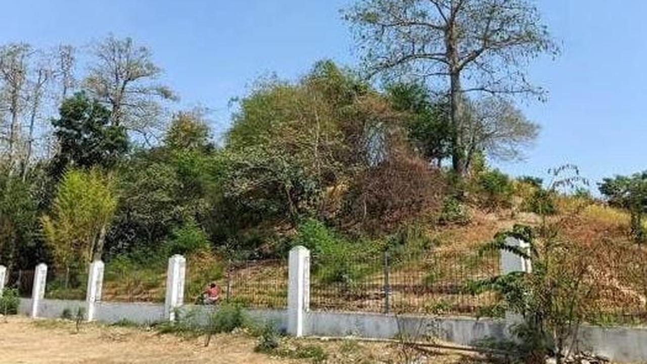 Segarayasa di Keraton Kartasura