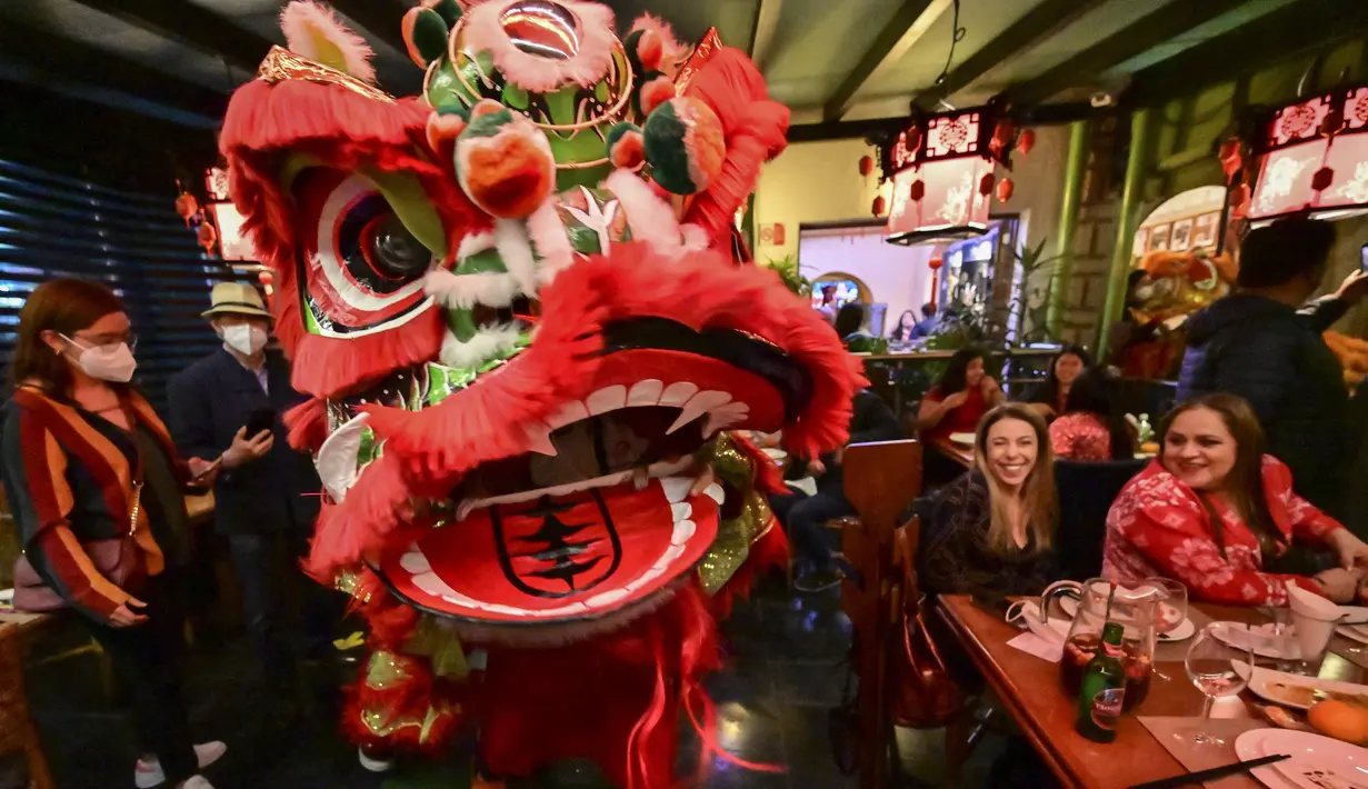 Anggota komunitas Tionghoa di Meksiko menampilkan tarian singa tradisional (barongsai) di sebuah restoran Tiongkok menyambut Tahun Baru Imlek di Mexico City, pada 31 Januari 2022. Tahun Baru Imlek 2022 menandai dimulainya tahun Shio Macan Air. (PEDRO PARDO / AFP)